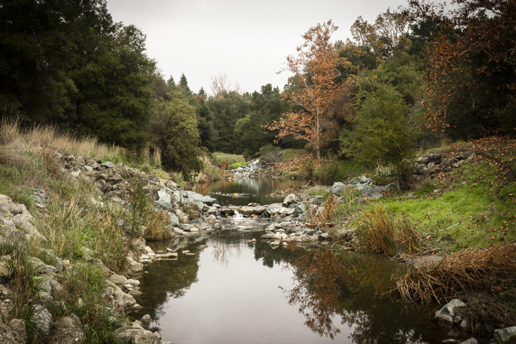 Alamo Creek